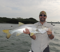 Tampa Florida Snook fishing trips