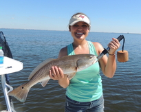 Tampa Bay guides