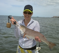 Tampa Bay charters