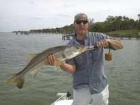 Clearwater Snook Fishing trips
