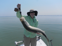 Tampa Snook fishing trips