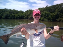 Tampa Redfish Charters