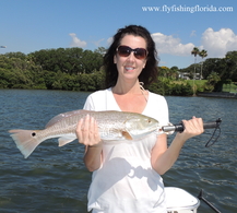 Tampa Bay Redfish guide